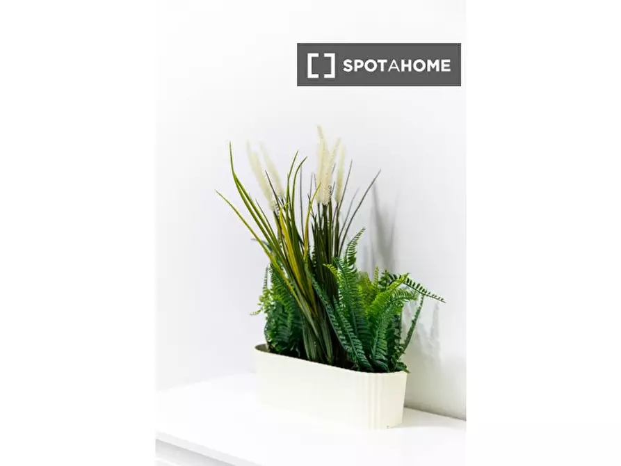 Immagine 3 di Camera condivisa in affitto  in Via Romolo Gessi a Torino