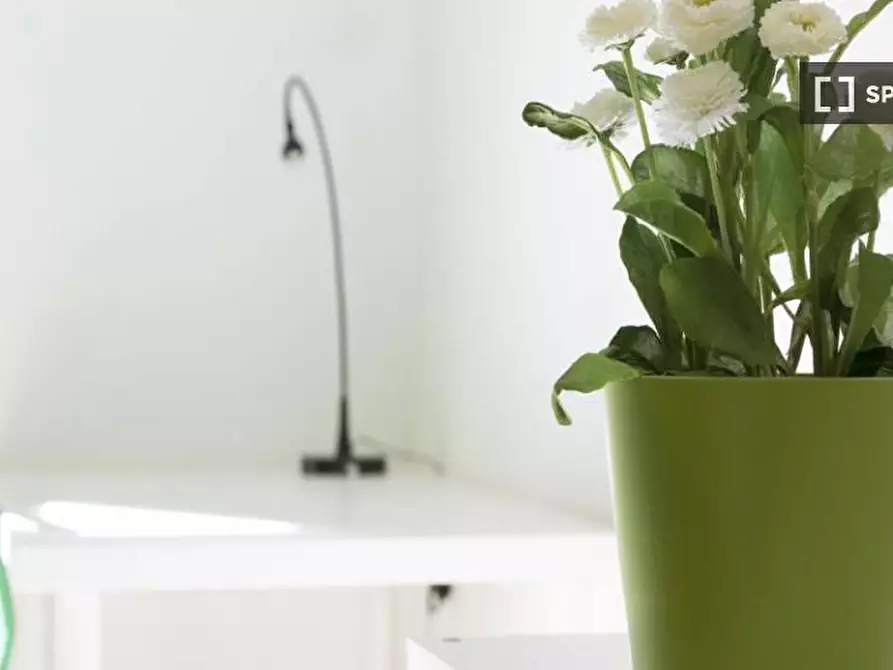 Immagine 8 di Camera condivisa in affitto  in Via Salvatore Barzilai a Milano