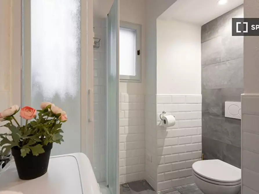 Immagine 14 di Appartamento in affitto  in Piazza de' Pitti a Firenze