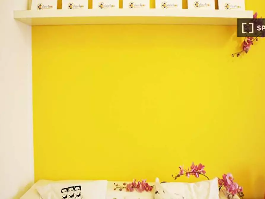 Immagine 6 di Camera condivisa in affitto  in Via Niccolò Paganini a Milano