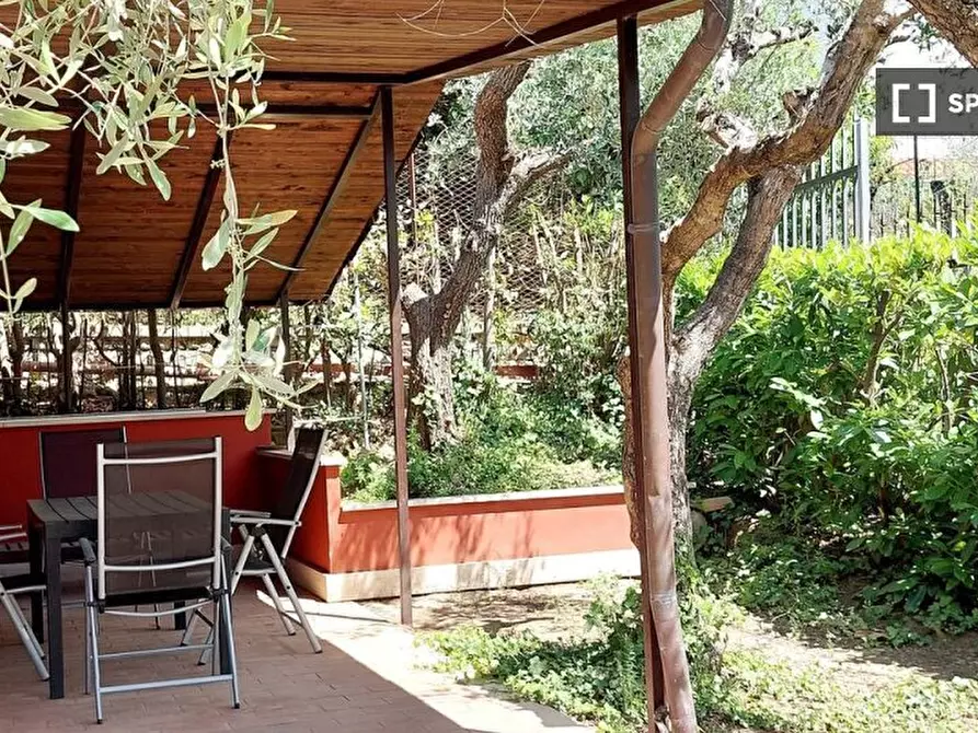 Immagine 19 di Appartamento in affitto  in Via del Ciclamino a Canale Monterano