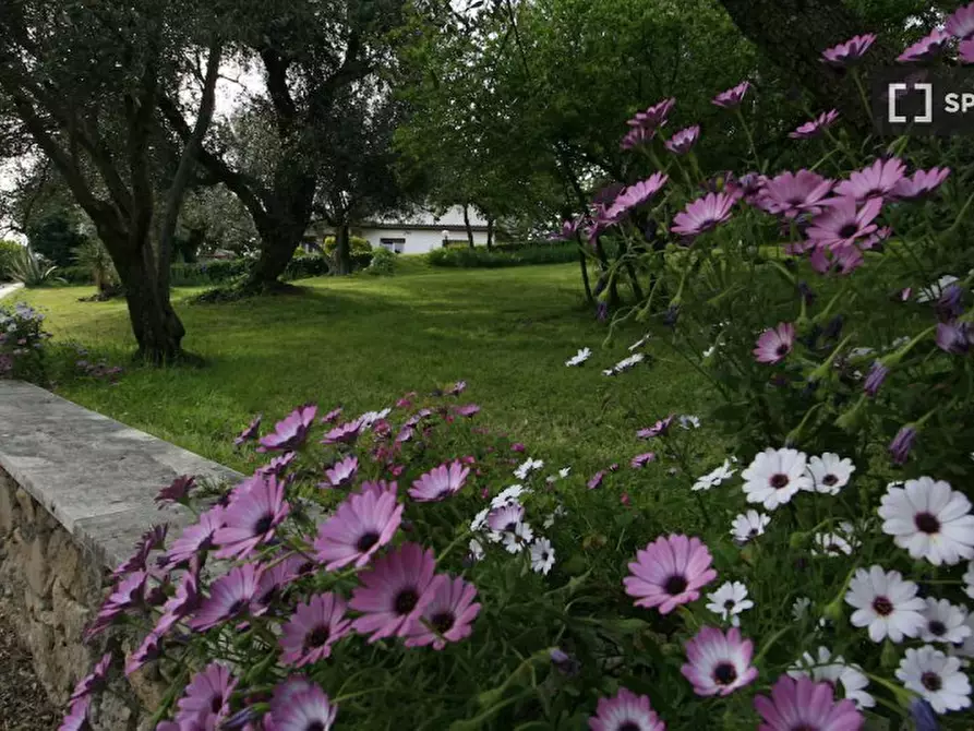 Immagine 6 di Appartamento in affitto  in Via Maria SS. di Quintiliolo a Tivoli