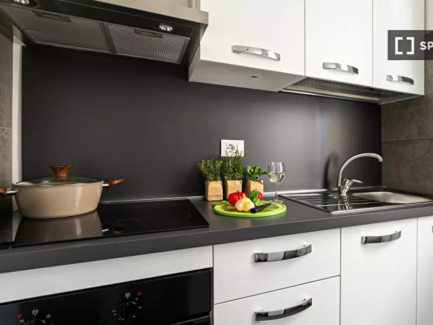 Immagine 3 di Appartamento in affitto  in Via Paladini a Milano