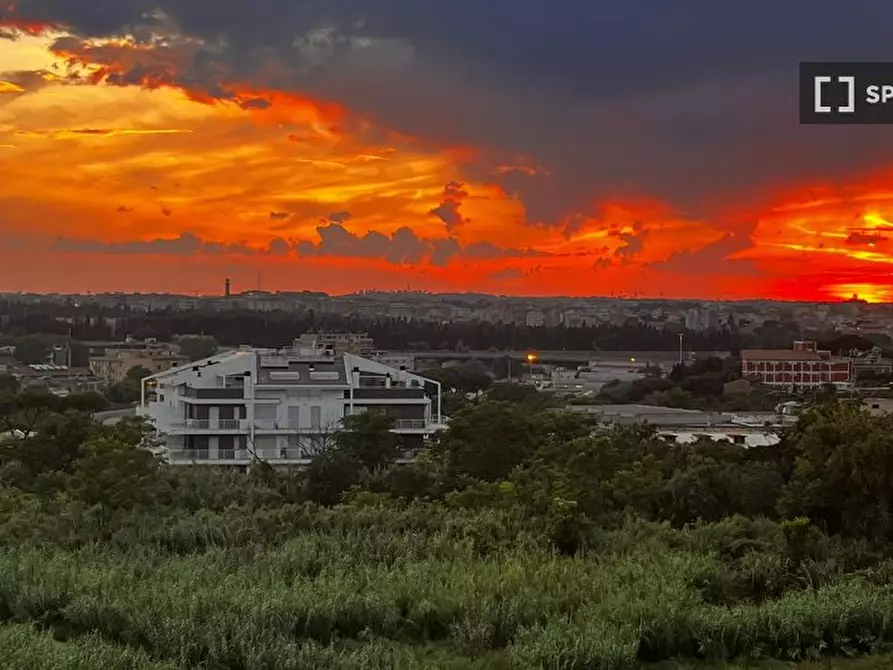 Immagine 14 di Appartamento in affitto  in Viale Giorgio Cingoli a Roma