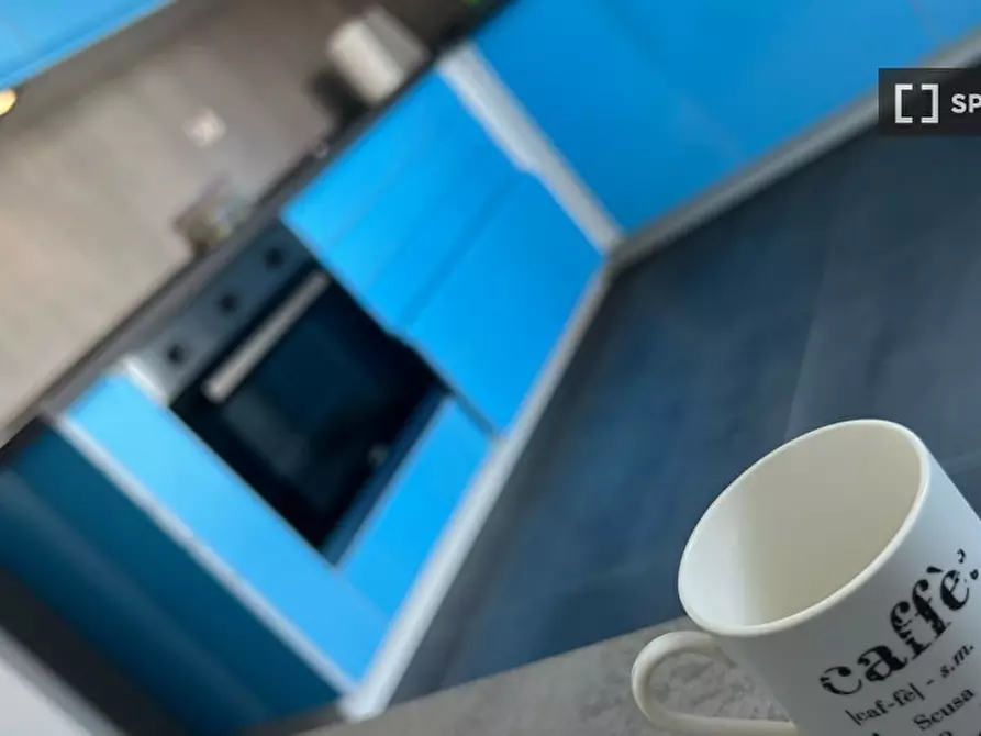 Immagine 3 di Camera condivisa in affitto  in Via Gioacchino Quarello a Torino