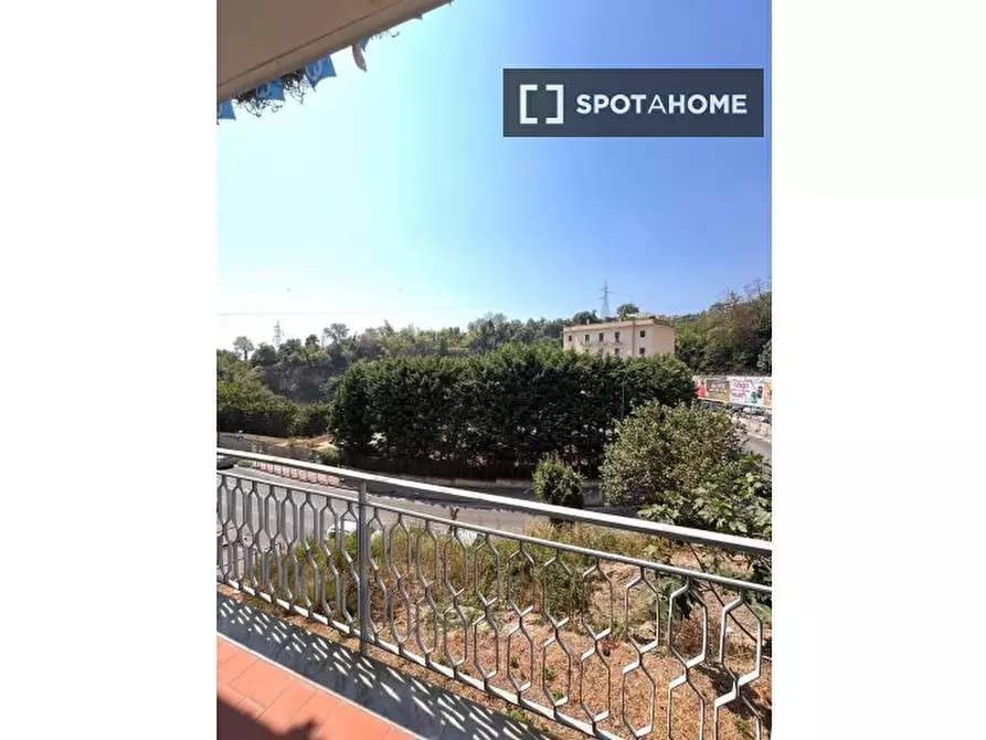 Immagine 9 di Camera condivisa in affitto  in Via Gabriele Jannelli a Napoli