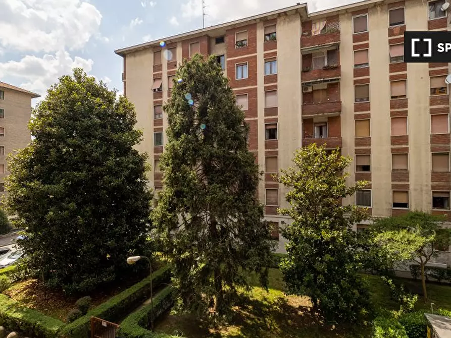 Immagine 6 di Camera condivisa in affitto  in Via Fratelli Rosselli a Milano