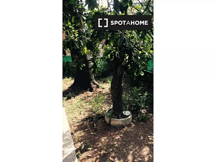 Immagine 9 di Camera condivisa in affitto  in Via della Villa a Bologna