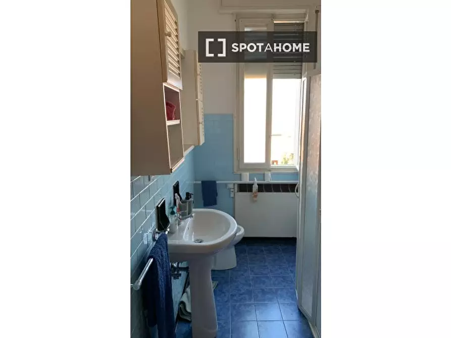 Immagine 12 di Camera condivisa in affitto  in Via Sandro Botticelli a Bologna