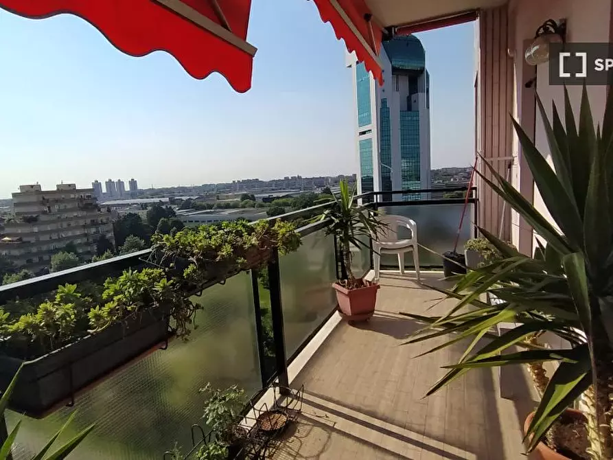 Immagine 9 di Camera condivisa in affitto  in Via Marco Polo a Corsico