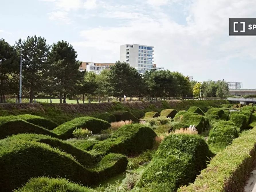Immagine 18 di Appartamento in affitto  in Wray Ave. a East Ham