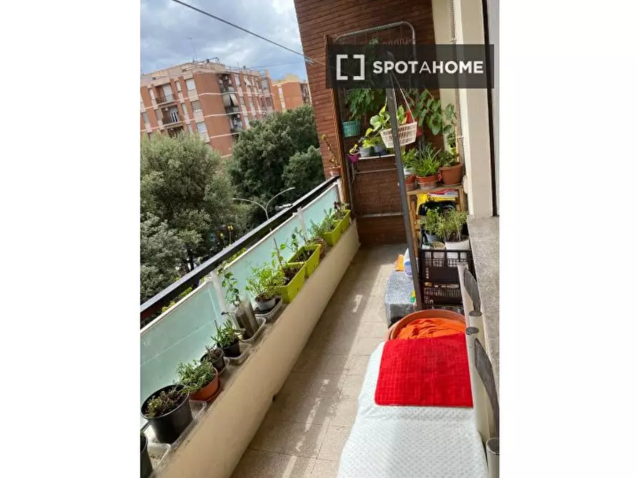 Immagine 3 di Camera condivisa in affitto  in Via Francesco Grimaldi a Roma