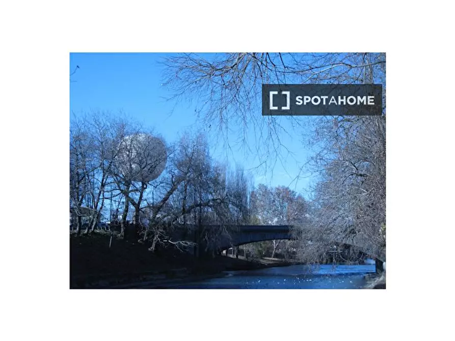 Immagine 7 di Camera condivisa in affitto  in Lungo Dora Firenze a Torino