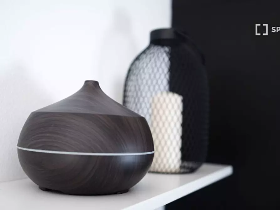 Immagine 10 di Camera condivisa in affitto  in Viale Papiniano a Milano