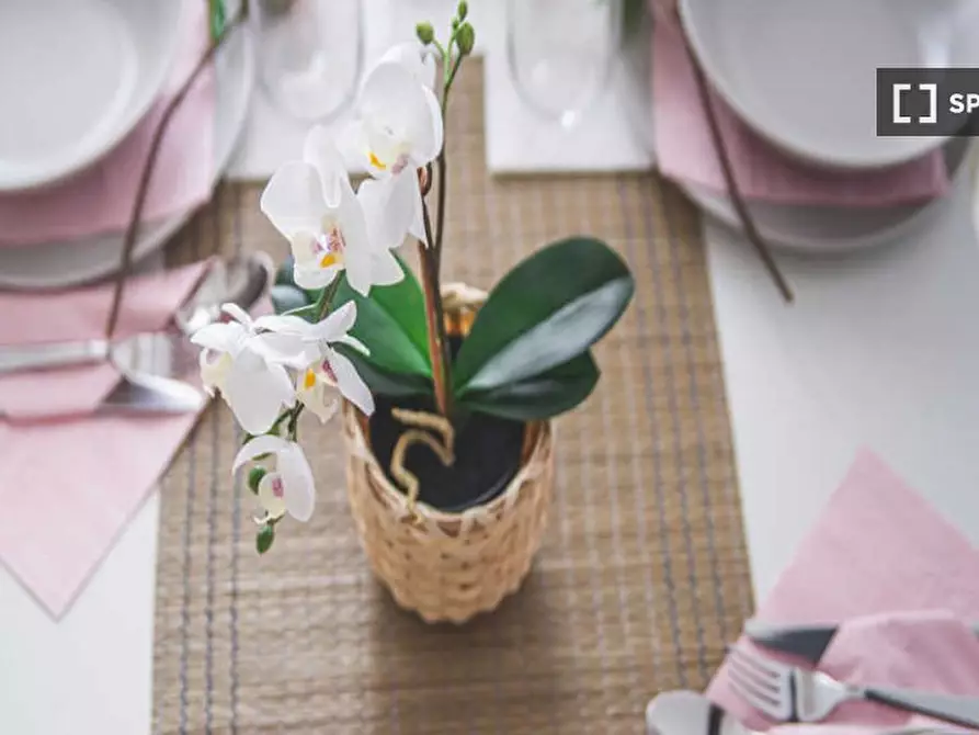 Immagine 12 di Camera condivisa in affitto  in Viale San Gimignano a Milano