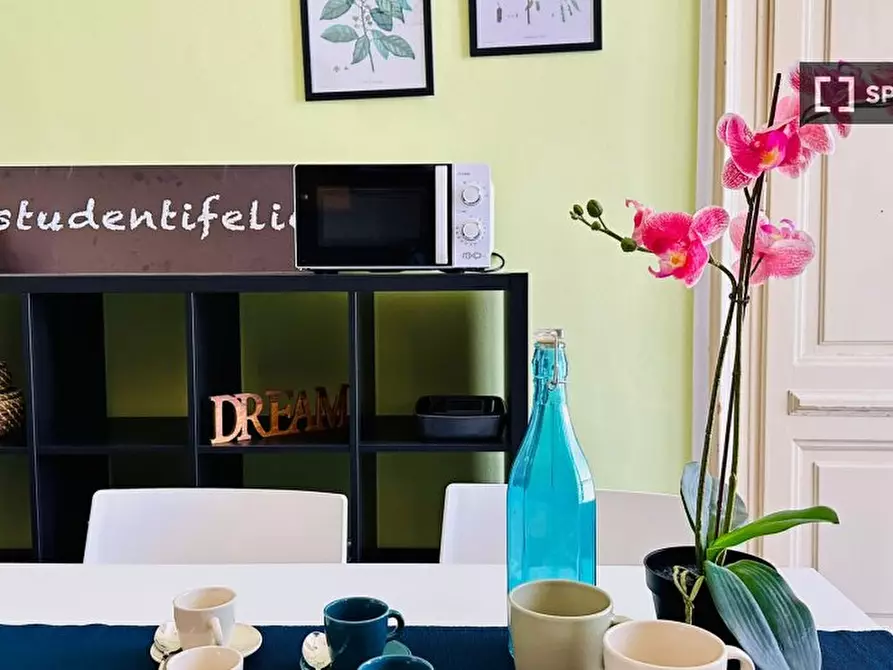 Immagine 14 di Camera condivisa in affitto  in Via Stefano Clemente n. a Torino