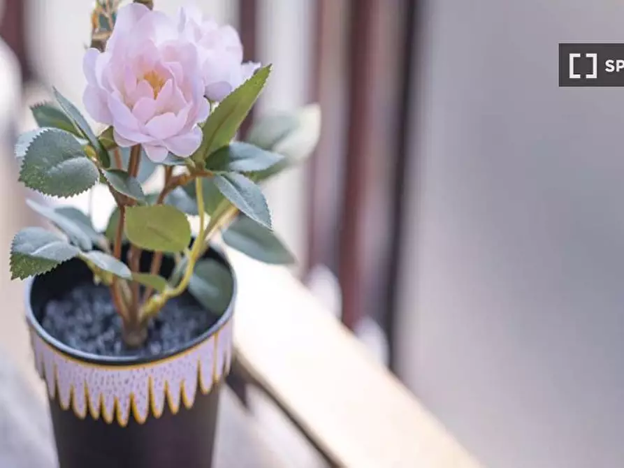 Immagine 4 di Camera condivisa in affitto  in Via Privata Poggibonsi a Milano