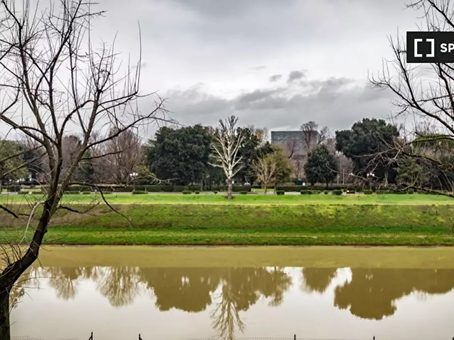 Immagine 12 di Appartamento in affitto  in Lungarno del Pignone a Firenze