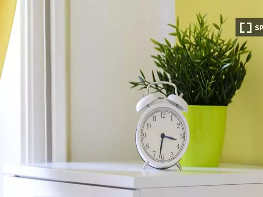 Immagine 6 di Camera condivisa in affitto  in VIA ANNIBALE GRASSELLI a Milano