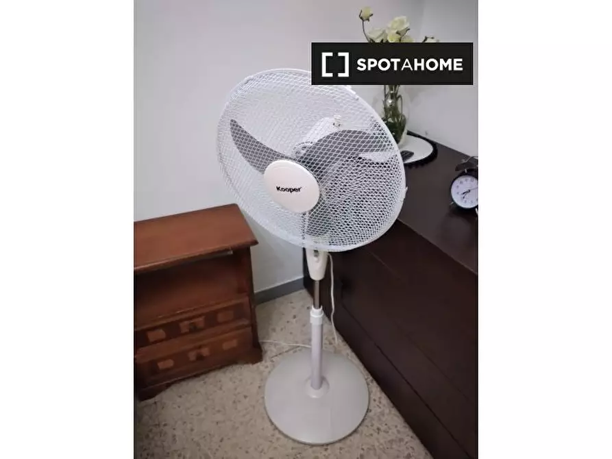 Immagine 5 di Camera condivisa in affitto  in Via Milazzo a Roma