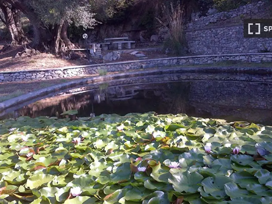 Immagine 7 di Appartamento in affitto  in Via Maria SS. di Quintiliolo a Tivoli