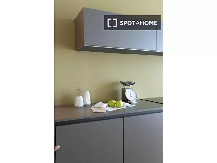 Immagine 14 di Appartamento in affitto  in Via Francesco Brioschi a Milano