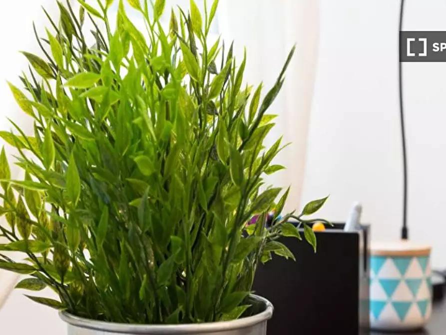 Immagine 6 di Camera condivisa in affitto  in Via Saverio Mercadante a Milano