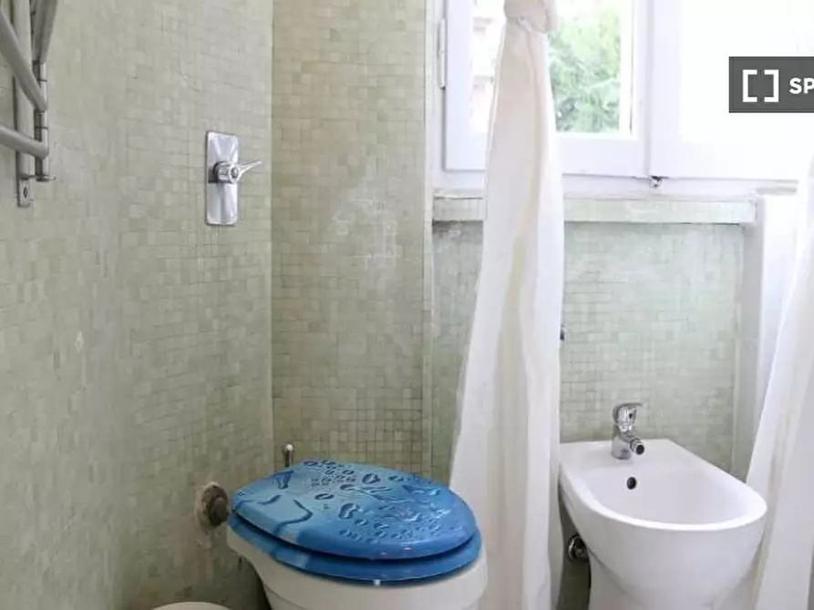 Immagine 16 di Camera condivisa in affitto  in Via Salvatore Barzilai a Milano