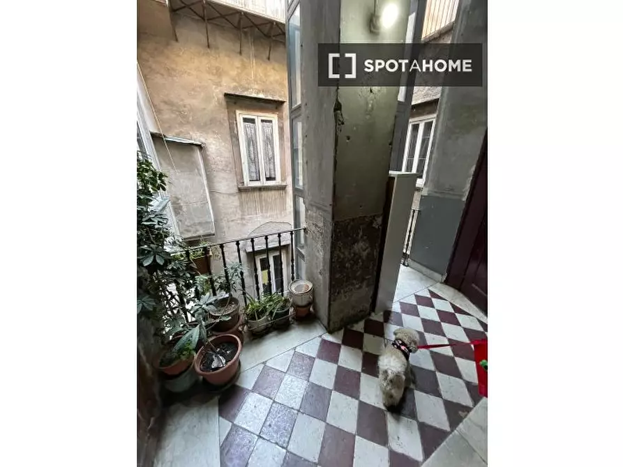 Immagine 18 di Camera condivisa in affitto  in Via S. Giovanni in Porta a Napoli