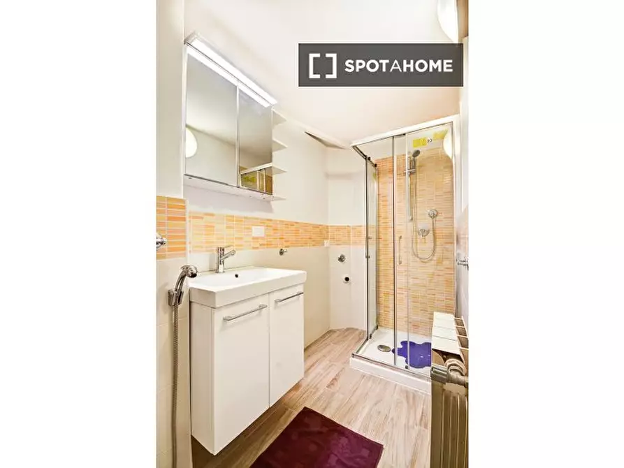 Immagine 11 di Camera condivisa in affitto  in Via delle Brache a Firenze