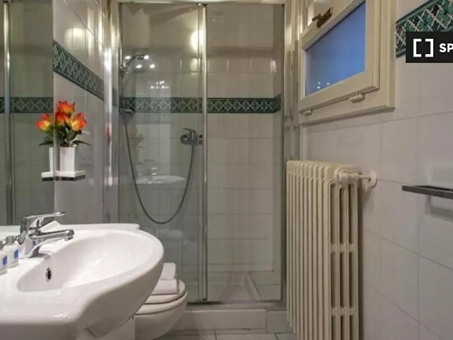 Immagine 19 di Appartamento in affitto  in Via delle Terme a Firenze