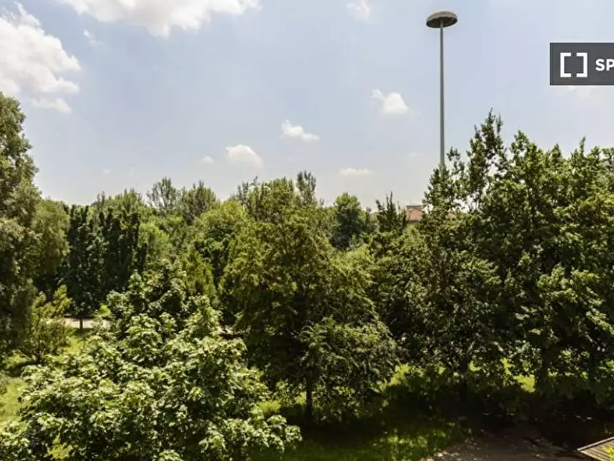 Immagine 16 di Camera condivisa in affitto  in Via Delle Ande a Milano