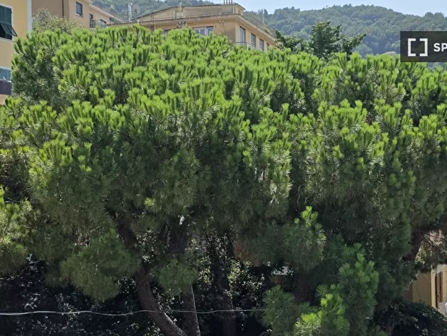 Immagine 2 di Appartamento in affitto  in Via Mansueto a Genova