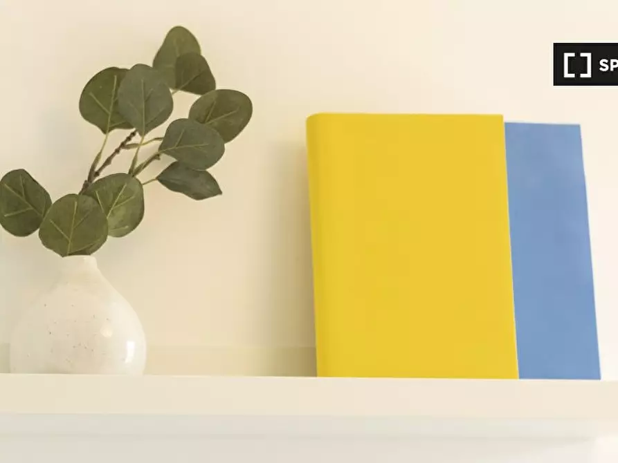 Immagine 3 di Camera condivisa in affitto  in Corso Massimo d'Azeglio a Torino