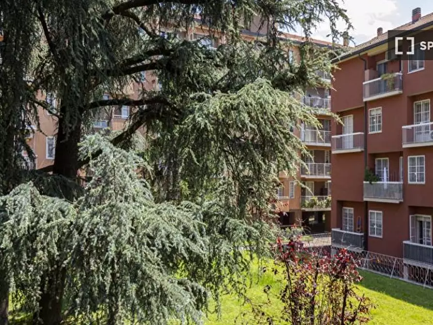 Immagine 14 di Camera condivisa in affitto  in Via Dalmazia a Milano