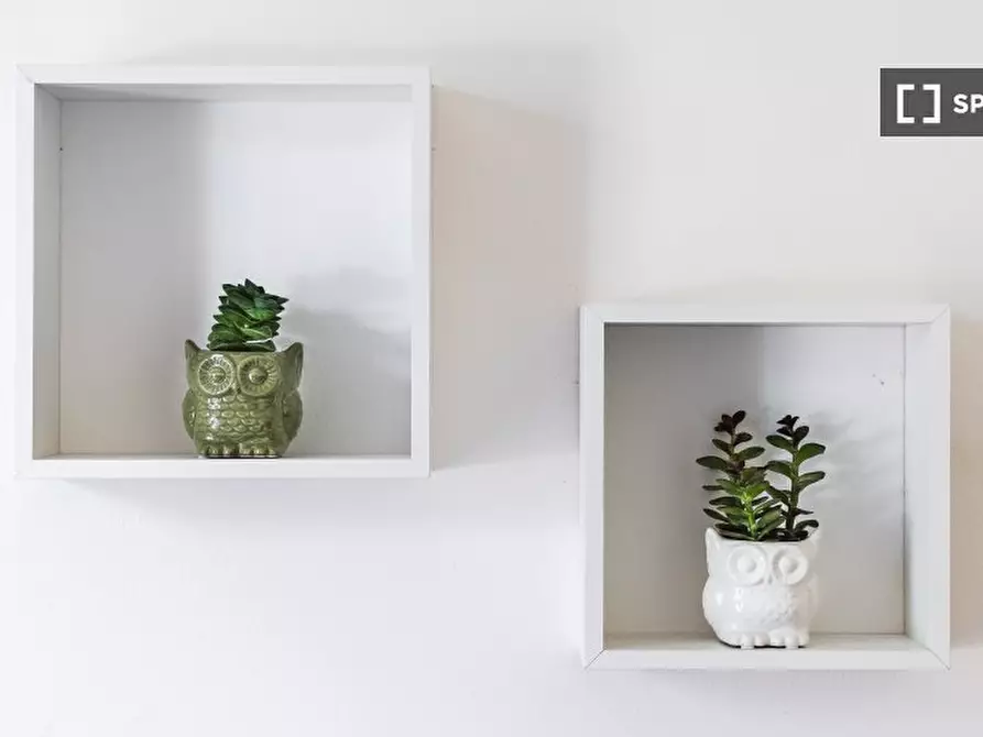 Immagine 3 di Camera condivisa in affitto  in Via Vittorio Emanuele Orlando a Milano