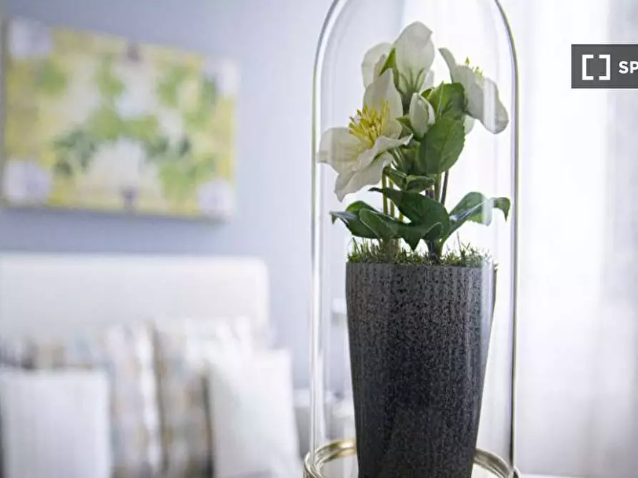 Immagine 5 di Camera condivisa in affitto  in Viale Nazario Sauro a Milano