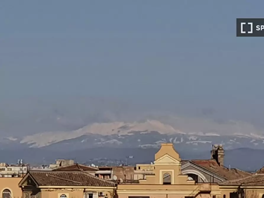 Immagine 2 di Camera condivisa in affitto  in Via Cipro a Roma