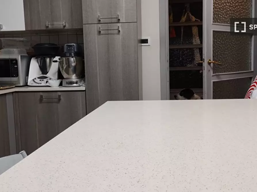 Immagine 13 di Camera condivisa in affitto  in Via Borgomanero a Torino