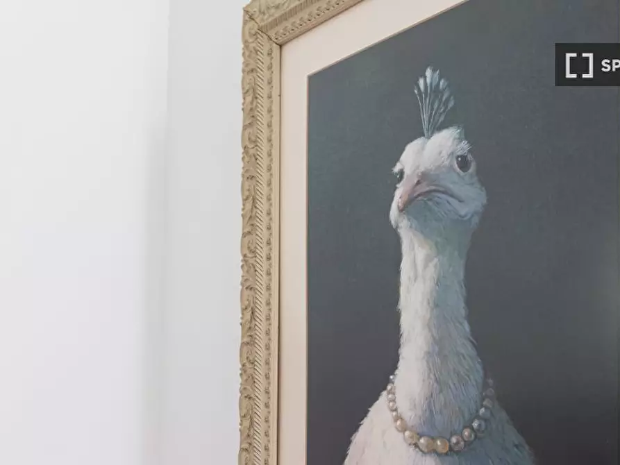 Immagine 18 di Appartamento in affitto  in Via Gaspare Rosales a Milano