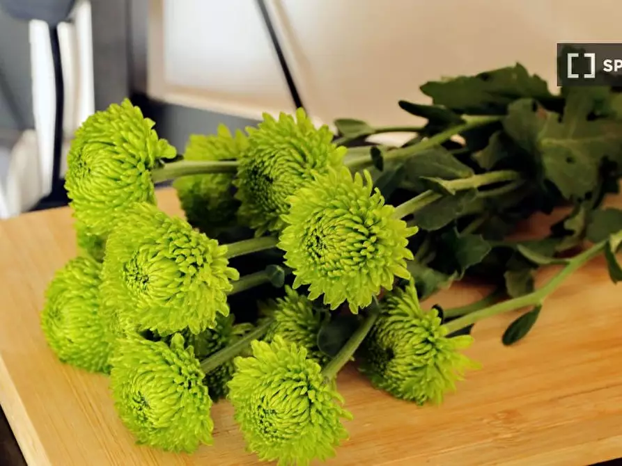 Immagine 12 di Appartamento in affitto  in Viale Giorgio Cingoli a Roma