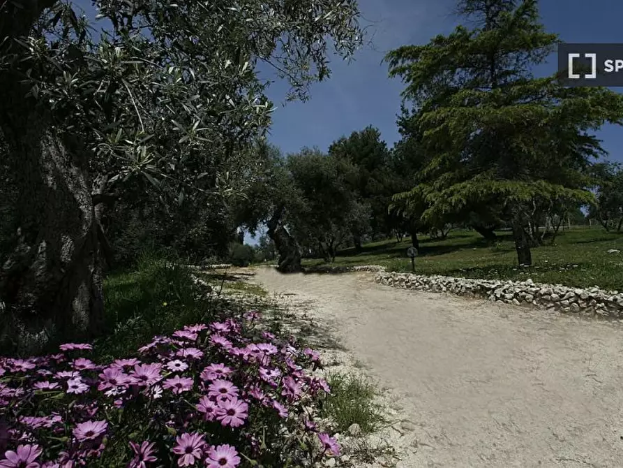 Immagine 4 di Appartamento in affitto  in Via Maria SS. di Quintiliolo a Tivoli
