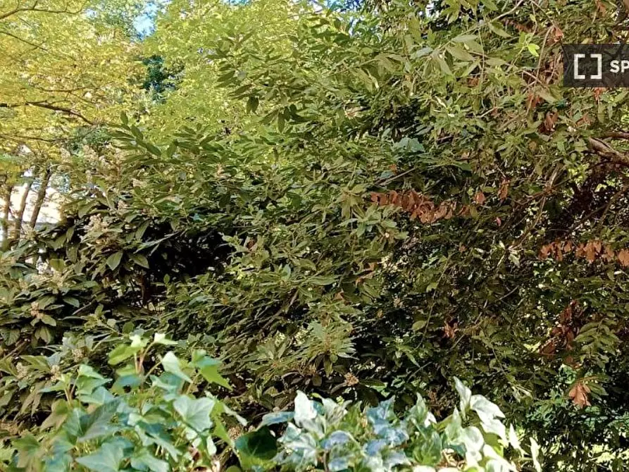 Immagine 5 di Ufficio in affitto  in Via Svezia a Roma