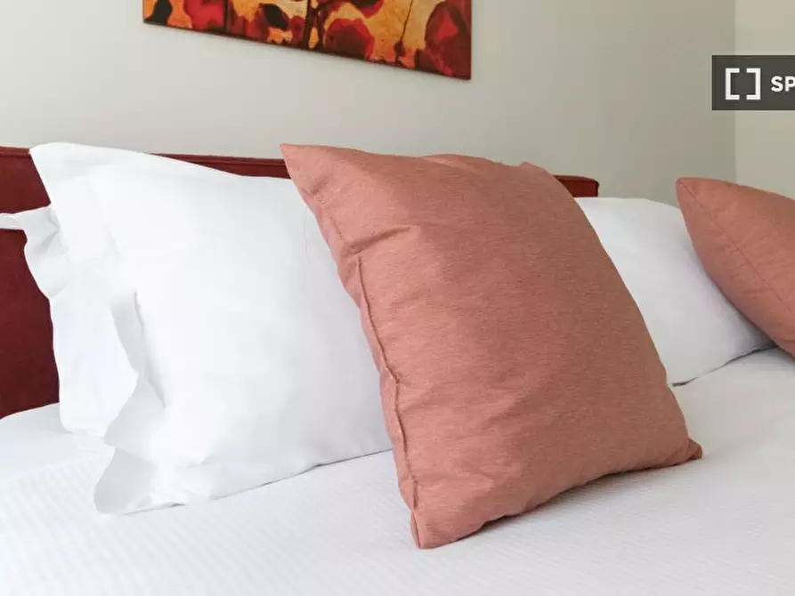 Immagine 10 di Appartamento in affitto  in Via Plinio a Milano