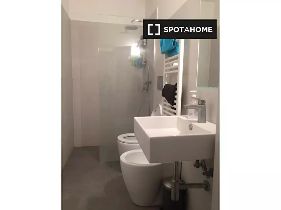 Immagine 6 di Camera condivisa in affitto  in Via Claudio Luigi Berthollet a Torino
