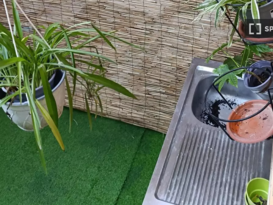 Immagine 15 di Appartamento in affitto  in Via Ilarione Rancati a Milano