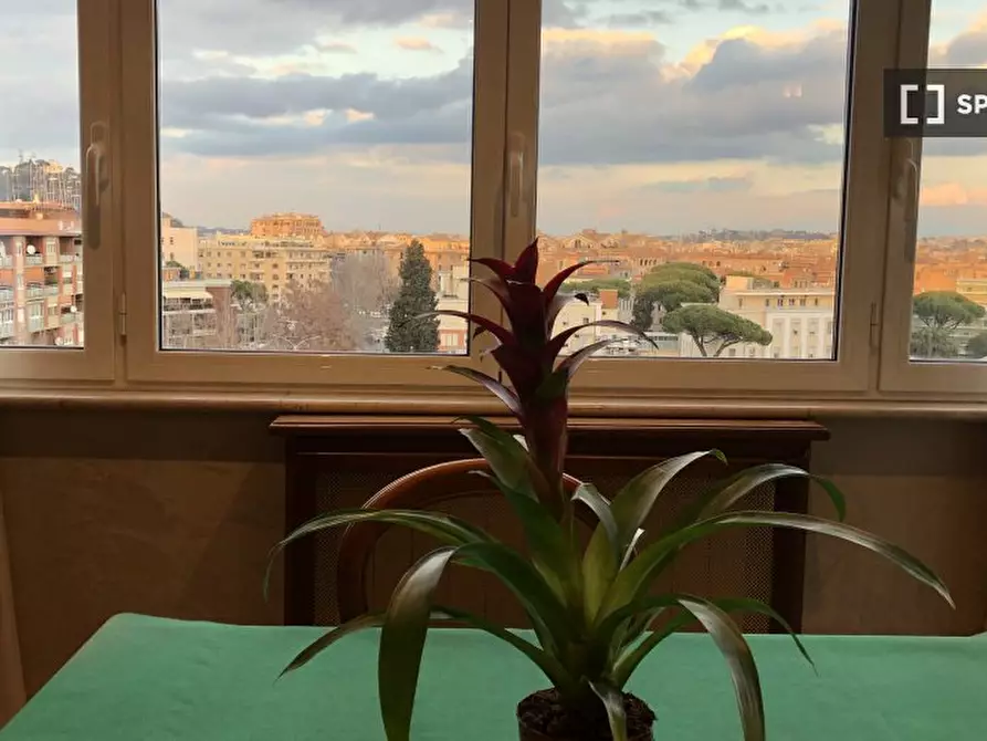 Immagine 8 di Camera condivisa in affitto  in Via Cipro a Roma