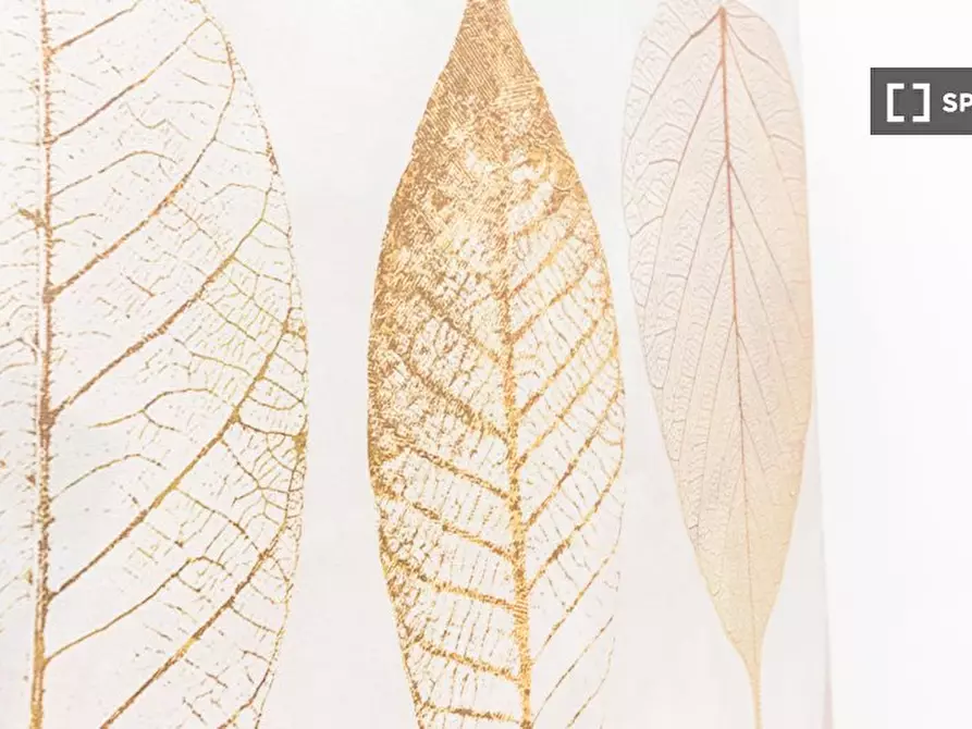 Immagine 9 di Appartamento in affitto  in Via Vincenzo Monti a Milano