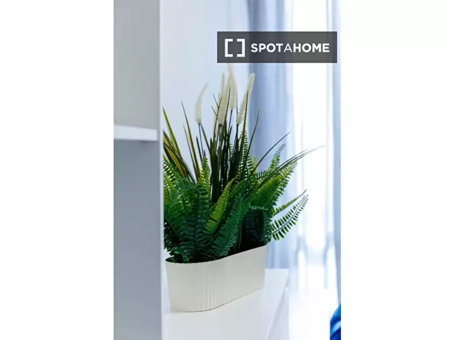 Immagine 6 di Camera condivisa in affitto  in Via Romolo Gessi a Torino