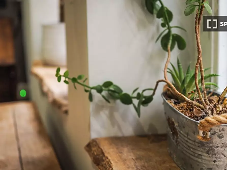 Immagine 7 di Appartamento in affitto  in Regency St a 